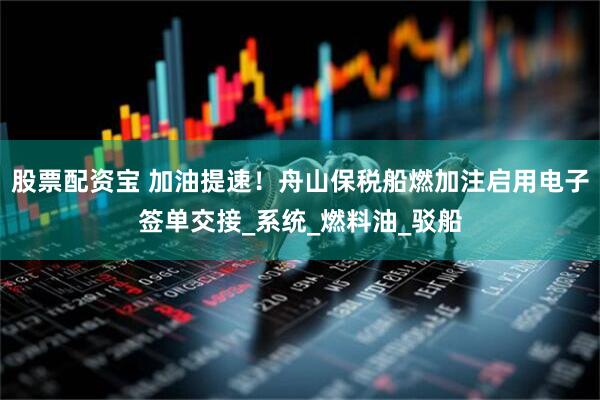 股票配资宝 加油提速！舟山保税船燃加注启用电子签单交接_系统_燃料油_驳船