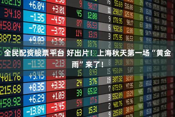 全民配资股票平台 好出片！上海秋天第一场“黄金雨”来了！